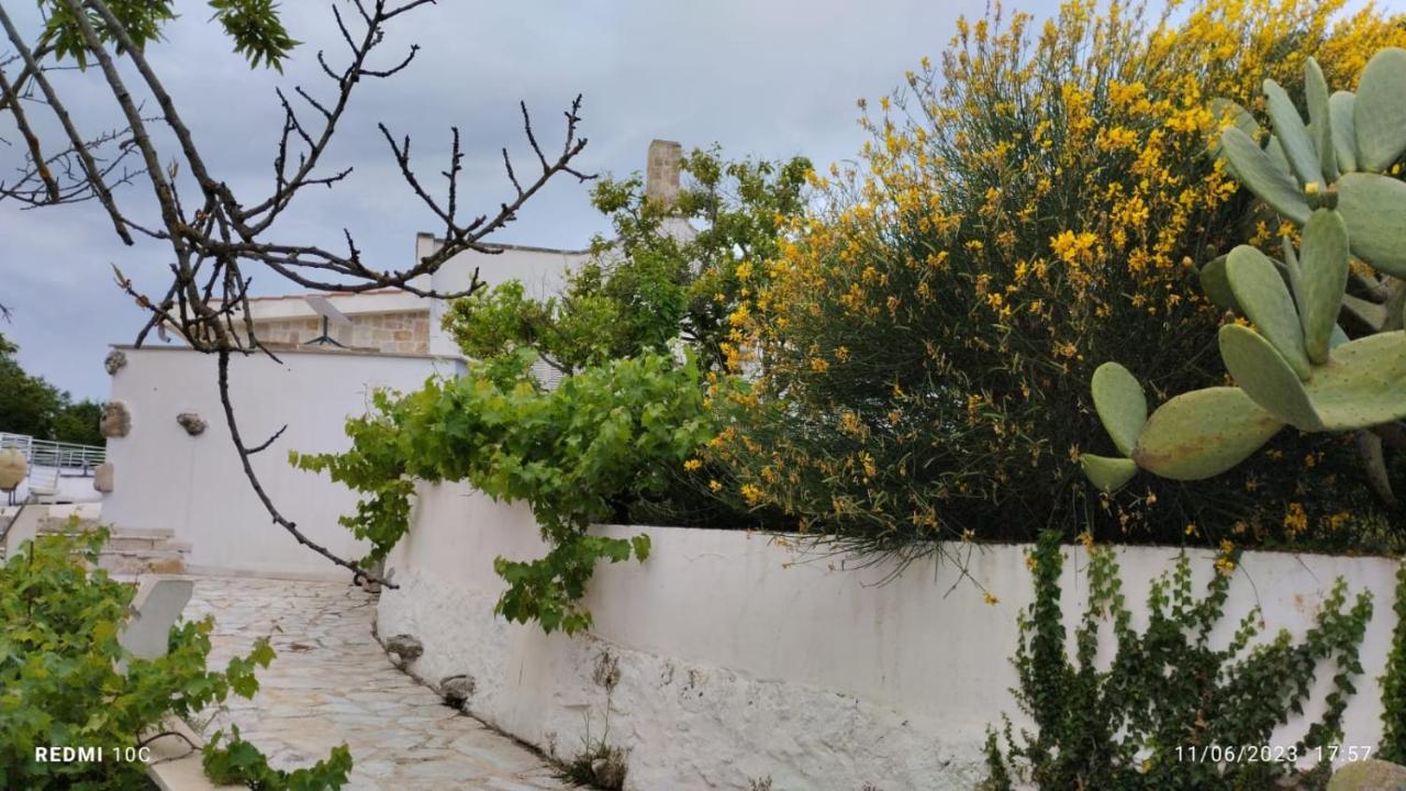 Le Terrazze Della Crianza Appartement Ostuni Buitenkant foto