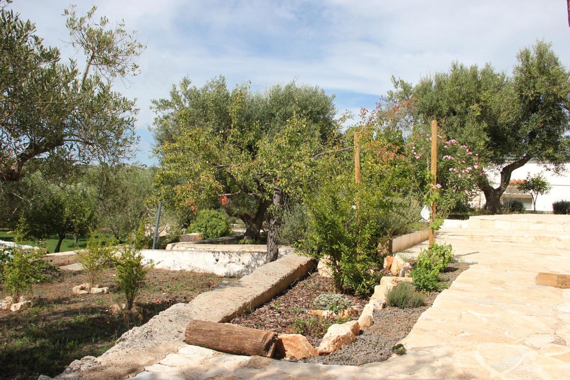 Le Terrazze Della Crianza Appartement Ostuni Buitenkant foto