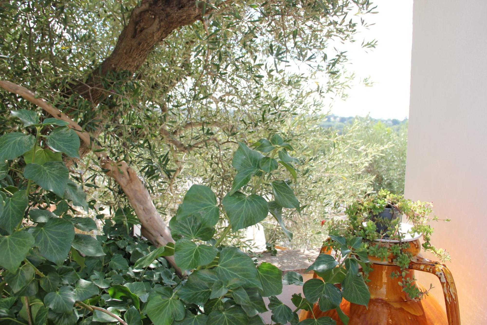 Le Terrazze Della Crianza Appartement Ostuni Buitenkant foto